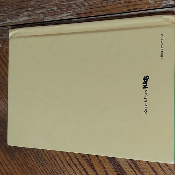 The Berenstain Bears And The Big Red Kite - Picture 2 of 14